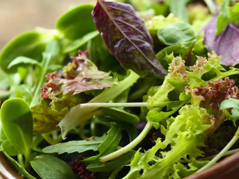 Mix de Saladas